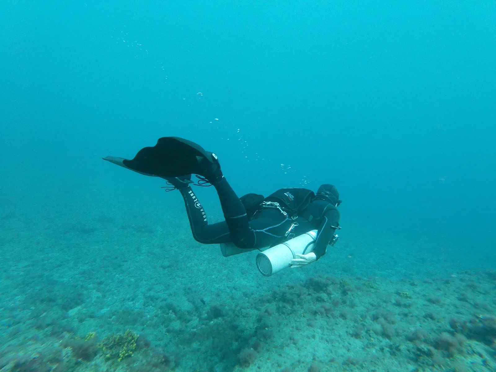 Buceo sidemount en Gran Canaria